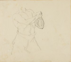 Torso of a Boxer
