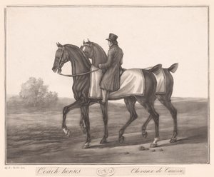 Rider Accompanies Two Horses (Carriage Horses) by Jean Louis Darcis (attributed to)