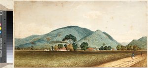 The St. Clare Sugar Factory, Port of Spain, Trinidad