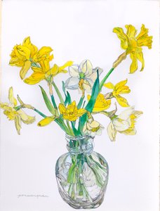 Daffodils in a Narrow Necked Vase, 2006
