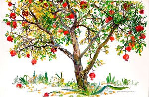 Pomegranate Tree, Monte Sereno