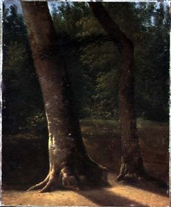 Study of Trees, c.1815 by Jean Victor (attr. to) Bertin