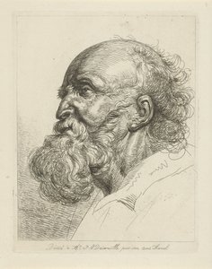 Portrait of an Old Man with Beard