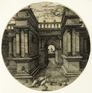The Ape Tied in a Courtyard
