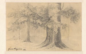 Landscape with Trees by Jeanne Marie Heynsius (signed by artist)