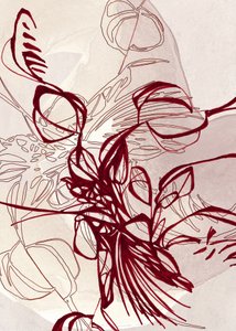 Elegant Botanical Lines by Jenja Braun