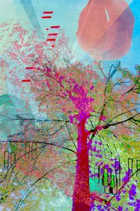 Vibrant Abstract Tree by Jenja Braun