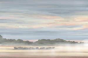 Misty Morning Landscape by Jenna Alheit