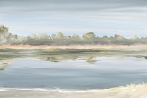 Serene Water Reflections by Jenna Alheit