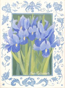 Blue Iris by Jennifer Abbott