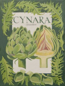 Cynara (globe artichoke) by Jennifer Abbott