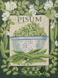 Pisum, Peas by Jennifer Abbott