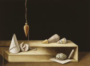 Optical Illusion, 2005
