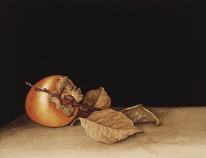 Persimmon, 2004