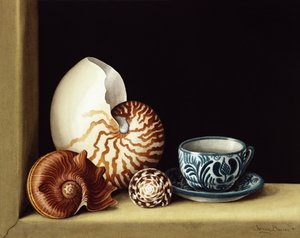 Still life with Nautilus