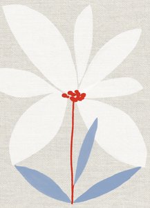 Printed Daisy by Jenny Frean
