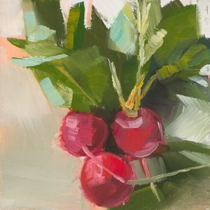 Radishes by Jenny Westenhofer