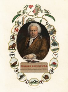 Portrait of Charles Bonnet, Genevan Naturalist (engraving) by Jens Juel