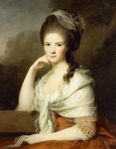 Portrait of a Lady, Seated Half-Length, Wearing a Brown Dress and a White Shawl