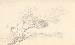 Study of Tree in Wind by Jens Juel