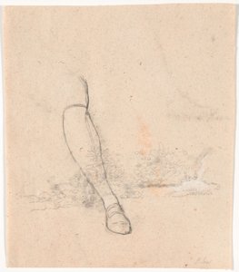 Studies of Plants by a Stream and Right Leg for the Portrait of Envoy Jean-Armand Tronchin Sitting Outdoors