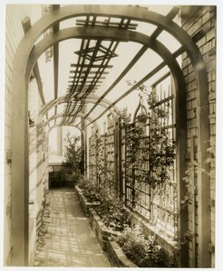 Back garden of Mrs Regina Jais, c.1936-37