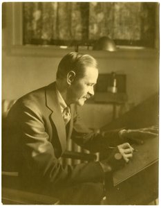 Fontaine Fox, cartoonist