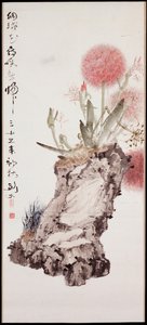 Hydrangea and Rock