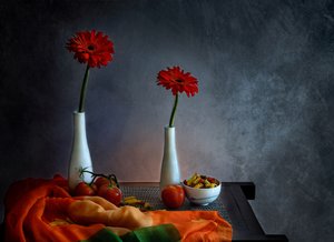 Red Gerbera Still Life
