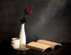 Rose Coffee Book Still Life