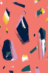 Geometric Coral Shards by Jilli Darling