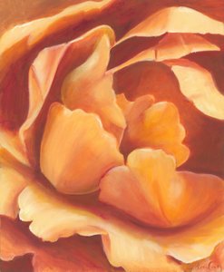 Soft Orange Bloom