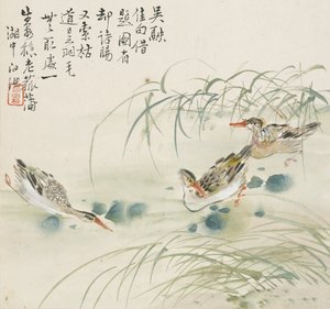 Three Ducks Swimming in a Pool by Jin Yuan