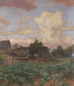 Farm in Silesia by Jindřich Tomec
