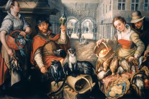 Seller of Exotic Animals