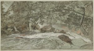 Rapids with Overhanging Branches by Joachim Franz Beich