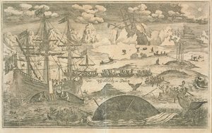 The Whale Fishery