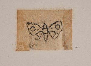 Insect