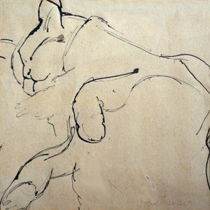 Cat, Mouser, 1980