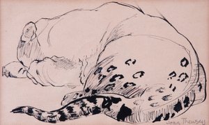 Sketch, Leopard, London Zoo 2005