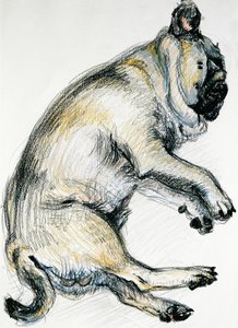 Sleeping Pug One
