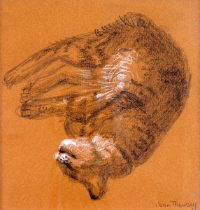 Sleeping Tabby Cat, 2005