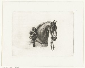 Horse Head to the Right by Joannes Bemme