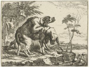 Two Mating Dogs by Joannes Fijt
