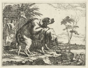 Two Mating Dogs by Joannes Fijt