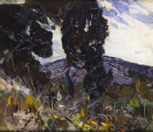 Landscape