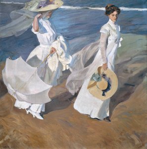 Strolling along the Seashore