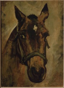 Head of a Horse. Artist: Joaquin Sorolla. Location: Private Collection, Madrid, Spain