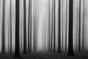 Misty Forest Path by Jochen Bongaerts