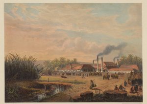 View of the Sugar Factory in Pangka (Sugar Factory Pangka, Residency Tagal)